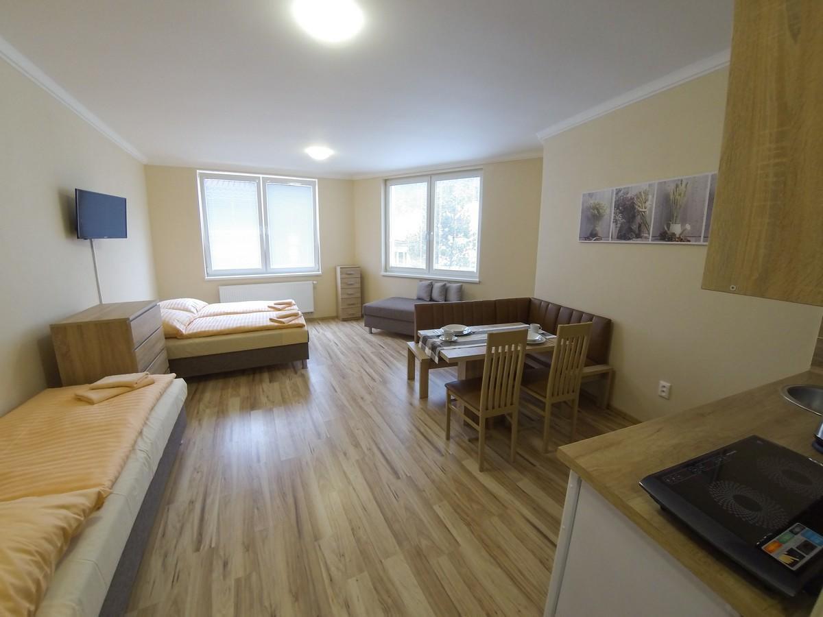 Apartment Orava-edda Trencianske Teplice